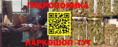 крисы Ярославль
