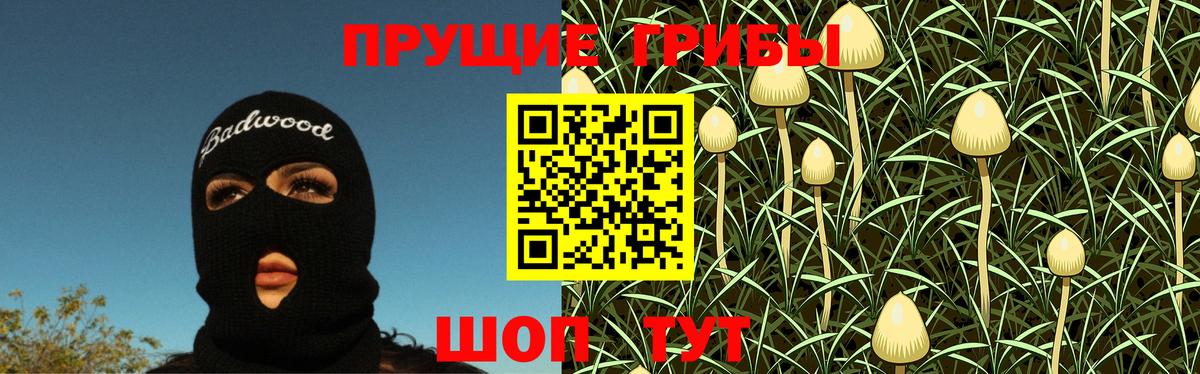 Богородицк  купить наркоту  Вход с VPN  Галлюциногенные грибы Magic Shrooms 